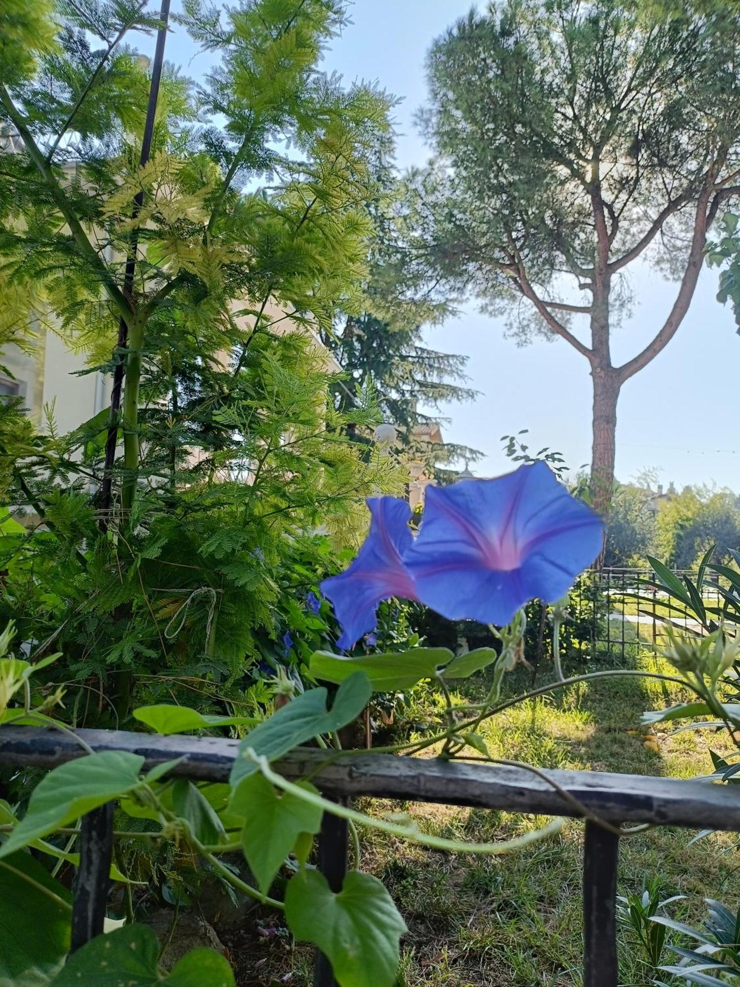 B&B Retro'Conero Castelfidardo Ngoại thất bức ảnh